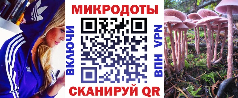 купить наркотики сайты  Великие Луки  Галлюциногенные грибы Magic Shrooms 